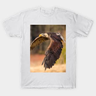 Bald Eagle in Flight T-Shirt